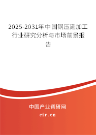 2025年鋼壓延加工行業(yè)前景展望與深度分析